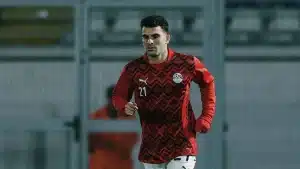أحمد مصطفى "زيزو"