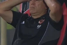 محمد يوسف