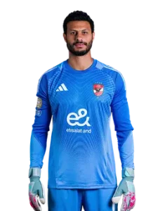 محمد الشناوي