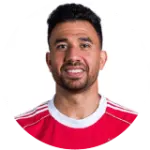 محمود تريزيجيه